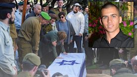 צילום: Ayal Margolin Flash90